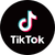 Icon Footer Tiktok