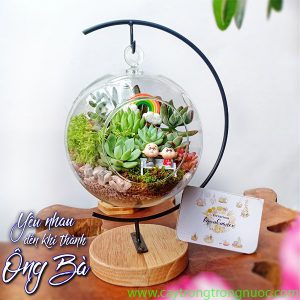 Tiểu cảnh Terrarium