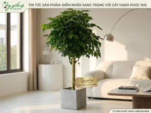 | Tháng 4 2026 Các mẫu cây hạnh phúc đẹp, khỏe mạnh tại Cây Giống Nhập Khẩu