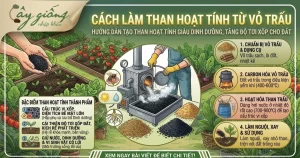 Cách Làm Than Hoạt Tính Từ Vỏ Trấu Bón Cây Sạch, An Toàn