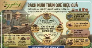 Cách Nuôi Trùn Quế Tại Nhà Và Trang Trại Chuẩn Kỹ Thuật