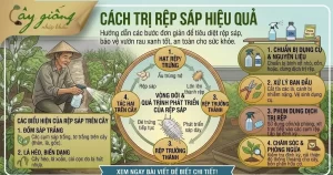 Top 4 Cách Trị Rệp Sáp Tận Gốc, An Toàn Và Hiệu Quả Nhất