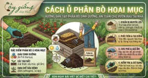 Cách Ủ Phân Bò Nhanh Hoai Mục, Giàu Dinh Dưỡng Tại Nhà