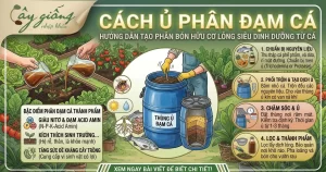 Cách Ủ Phân Đạm Cá Không Mùi Hôi, Tăng Năng Suất Cho Cây