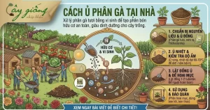 Hướng Dẫn Cách Ủ Phân Gà Nhanh Hoai Mục Tại Nhà Cực Dễ