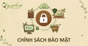 Chính Sách Bảo Mật An Toàn Tại Cây Giống Nhập Khẩu