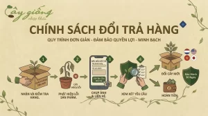 | Tháng 3 2026 Chính Sách Đổi Trả Hàng Minh Bạch, Nhanh Chóng, Uy Tín