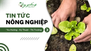 Tổng Hợp Tin Tức Nông Nghiệp - Xu Hướng, Kỹ Thuật Và Thị Trường