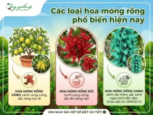 Phân Biệt Hoa Móng Rồng, Hoa Hoàng Lan Và Hoa Dẻ Cực Dễ