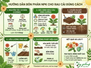 Cách Bón NPK Cho Rau Cải Chuẩn, Hiệu Quả, Tăng Năng Suất