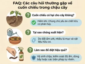 Cách Diệt Cuốn Chiếu Trong Chậu Cây Hiệu Quả Và An Toàn