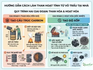 Cách Làm Than Hoạt Tính Từ Vỏ Trấu Bón Cây Sạch, An Toàn