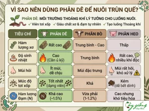 Cách Nuôi Trùn Quế Tại Nhà Và Trang Trại Chuẩn Kỹ Thuật