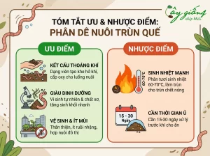 Cách Nuôi Trùn Quế Tại Nhà Và Trang Trại Chuẩn Kỹ Thuật