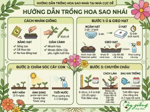 Chi Tiết Cách Trồng Hoa Sao Nhái Tại Nhà Ra Hoa Rực Rỡ