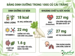 Cách Trồng Củ Cải Trắng Đơn Giản, Củ To, Mập, Năng Suất Cao