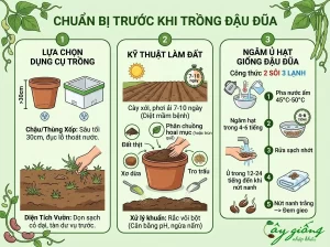 Hướng Dẫn Cách Trồng Đậu Đũa Chuẩn, Sai Quả, Ít Sâu Bệnh