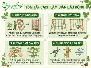 Cách Trồng Đậu Rồng Tại Nhà Sai Quả, Nhanh Thu Hoạch