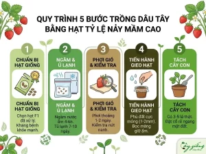 Cách Trồng Dâu Tây Bằng Hạt Nảy Mầm Nhanh, Sai Quả