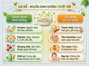 | Tháng 4 2026 Chia Sẻ Cách Trồng Giá Đỗ Sạch, Trắng Giòn, An Toàn Tại Nhà