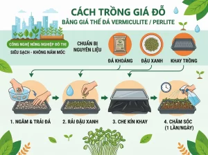| Tháng 4 2026 Chia Sẻ Cách Trồng Giá Đỗ Sạch, Trắng Giòn, An Toàn Tại Nhà