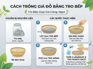 | Tháng 4 2026 Chia Sẻ Cách Trồng Giá Đỗ Sạch, Trắng Giòn, An Toàn Tại Nhà