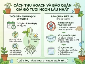 | Tháng 4 2026 Chia Sẻ Cách Trồng Giá Đỗ Sạch, Trắng Giòn, An Toàn Tại Nhà