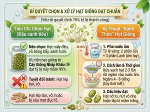 | Tháng 4 2026 Chia Sẻ Cách Trồng Giá Đỗ Sạch, Trắng Giòn, An Toàn Tại Nhà