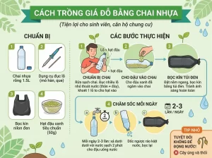 | Tháng 4 2026 Chia Sẻ Cách Trồng Giá Đỗ Sạch, Trắng Giòn, An Toàn Tại Nhà
