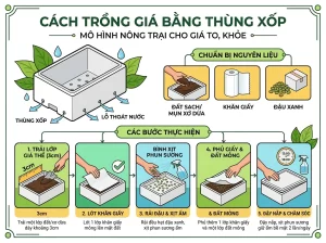 | Tháng 4 2026 Chia Sẻ Cách Trồng Giá Đỗ Sạch, Trắng Giòn, An Toàn Tại Nhà