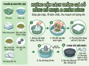| Tháng 4 2026 Chia Sẻ Cách Trồng Giá Đỗ Sạch, Trắng Giòn, An Toàn Tại Nhà