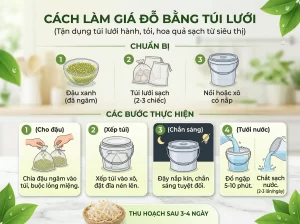 | Tháng 4 2026 Chia Sẻ Cách Trồng Giá Đỗ Sạch, Trắng Giòn, An Toàn Tại Nhà