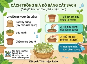 | Tháng 4 2026 Chia Sẻ Cách Trồng Giá Đỗ Sạch, Trắng Giòn, An Toàn Tại Nhà