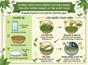| Tháng 4 2026 Chia Sẻ Cách Trồng Giá Đỗ Sạch, Trắng Giòn, An Toàn Tại Nhà