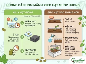 Cách Trồng Mướp Hương Trong Thùng Xốp Cho Quả To Và Dài