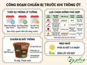 Cẩm Nang Hướng Dẫn Cách Trồng Ớt Tại Nhà Sai Trĩu Quả