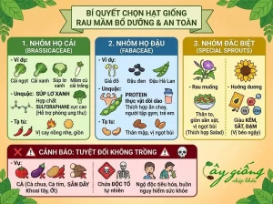 Hướng Dẫn Cách Trồng Rau Mầm Tại Nhà Sạch, Lớn Nhanh