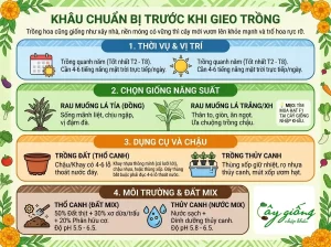 Cách Trồng Rau Muống Nhanh Thu Hoạch, Xanh Mướt Tại Nhà