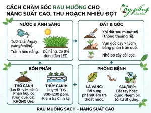 Cách Trồng Rau Muống Nhanh Thu Hoạch, Xanh Mướt Tại Nhà
