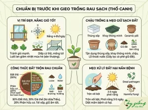 Cách Trồng Rau Sạch Tại Nhà Đơn Giản, 100% Nảy Mầm