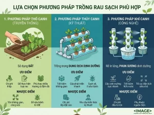 Cách Trồng Rau Sạch Tại Nhà Đơn Giản, 100% Nảy Mầm