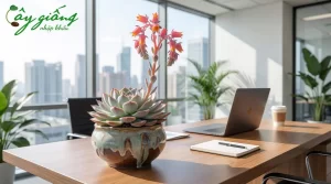 | Tháng 4 2026 Hướng Dẫn Cách Trồng Sen Đá Giúp Cây Sống Khỏe 100%