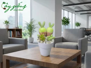 | Tháng 4 2026 Hướng Dẫn Cách Trồng Sen Đá Giúp Cây Sống Khỏe 100%