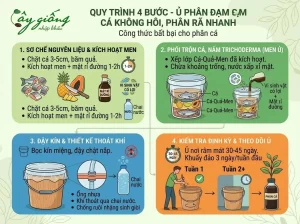 Cách Ủ Phân Đạm Cá Không Mùi Hôi, Tăng Năng Suất Cho Cây