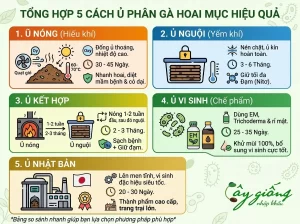 Hướng Dẫn Cách Ủ Phân Gà Nhanh Hoai Mục Tại Nhà Cực Dễ