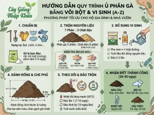 Hướng Dẫn Cách Ủ Phân Gà Nhanh Hoai Mục Tại Nhà Cực Dễ