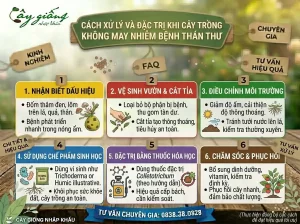 Tổng Hợp Cách Phòng Ngừa Bệnh Thán Thư Triệt Để, Hiệu Quả