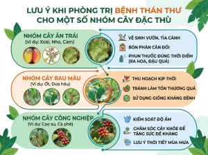 Tổng Hợp Cách Phòng Ngừa Bệnh Thán Thư Triệt Để, Hiệu Quả