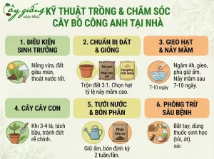 | Tháng 4 2026 Cây Bồ Công Anh Có Tác Dụng Gì? Cách Trồng Ra Sao?
