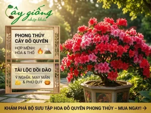Hoa Đỗ Quyên Hợp Mệnh Gì? Có Nên Trồng Trong Nhà Không?